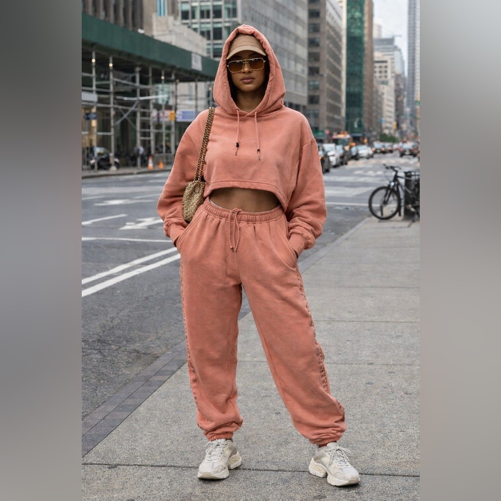 IVY PARK Dusty Rose Hooded Cropped Sweatshirt & Joggers